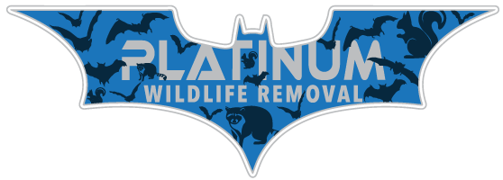 Wood County Animal Removal